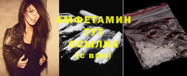 стаф Бородино