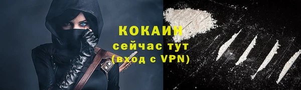 стаф Бородино