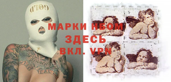 стаф Бородино