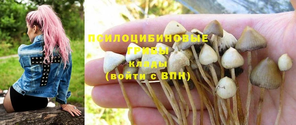 метадон Богородицк