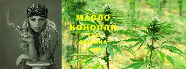стаф Бородино