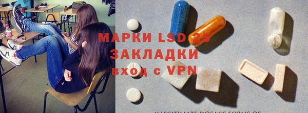 стаф Бородино