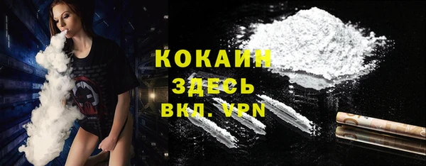 стаф Бородино