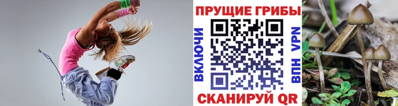 Галлюциногенные грибы MAGIC MUSHROOMS  Купить где  Невельск 